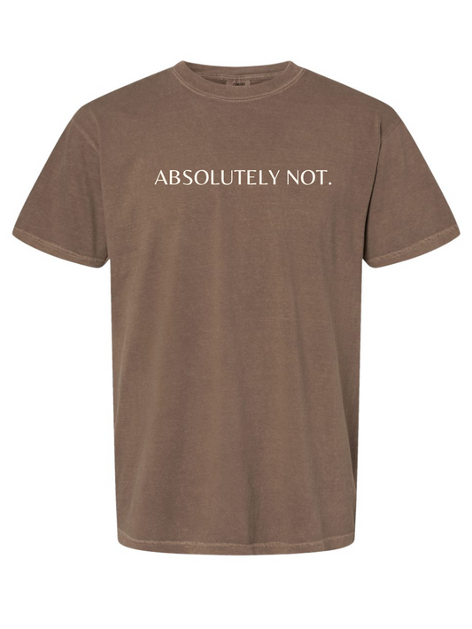 Absolutely Not Embroidered Comfort Colors Short Sleeve Shirt