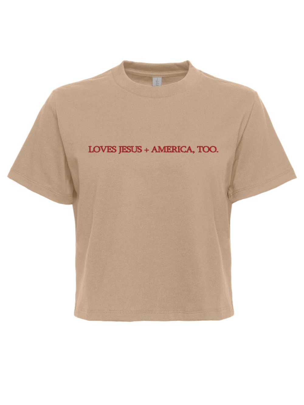 Loves Jesus + America Too Embroidered Heavyweight Boxy T-Shirt