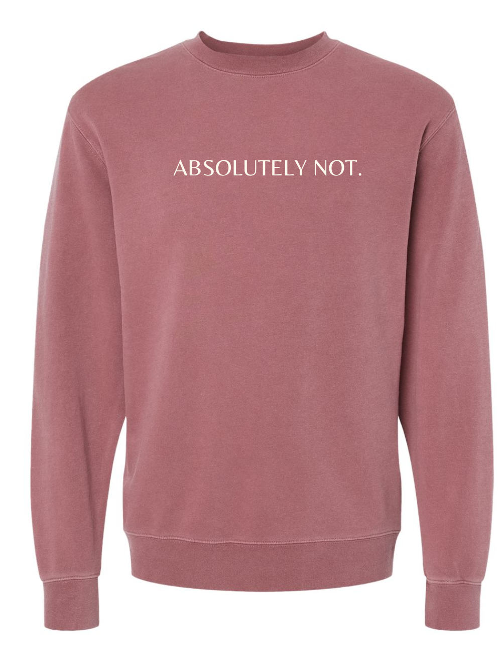 Absolutely Not Embroidered Washed Crewneck Sweatshirt