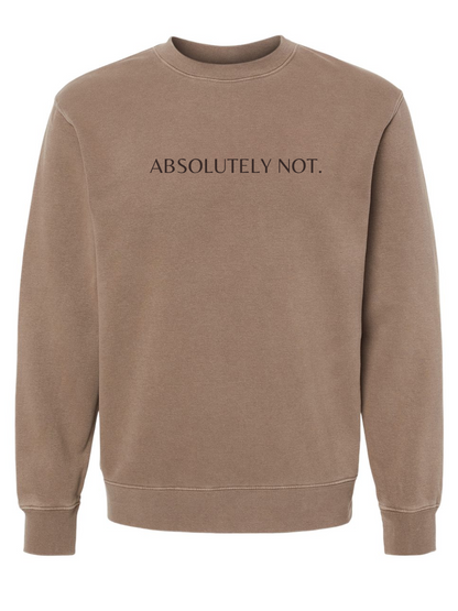 Absolutely Not Embroidered Washed Crewneck Sweatshirt