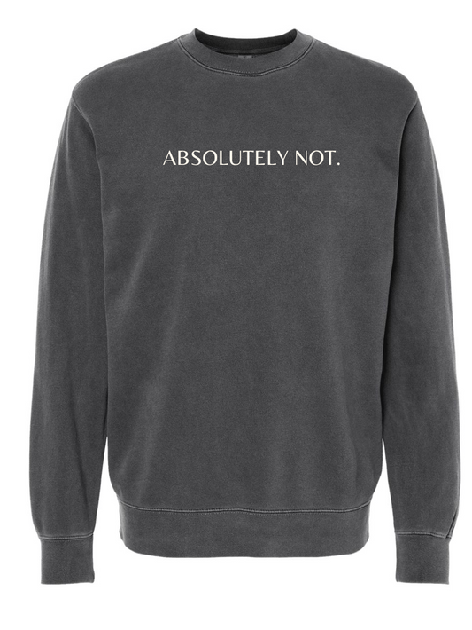 Absolutely Not Embroidered Washed Crewneck Sweatshirt