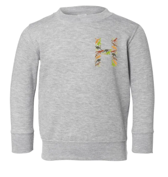 Dinosaur Custom Letter Embroidered Kids Crewneck Sweatshirt